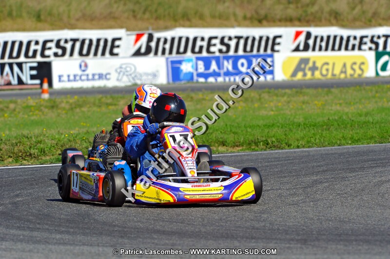 DSC_ (1170).jpg